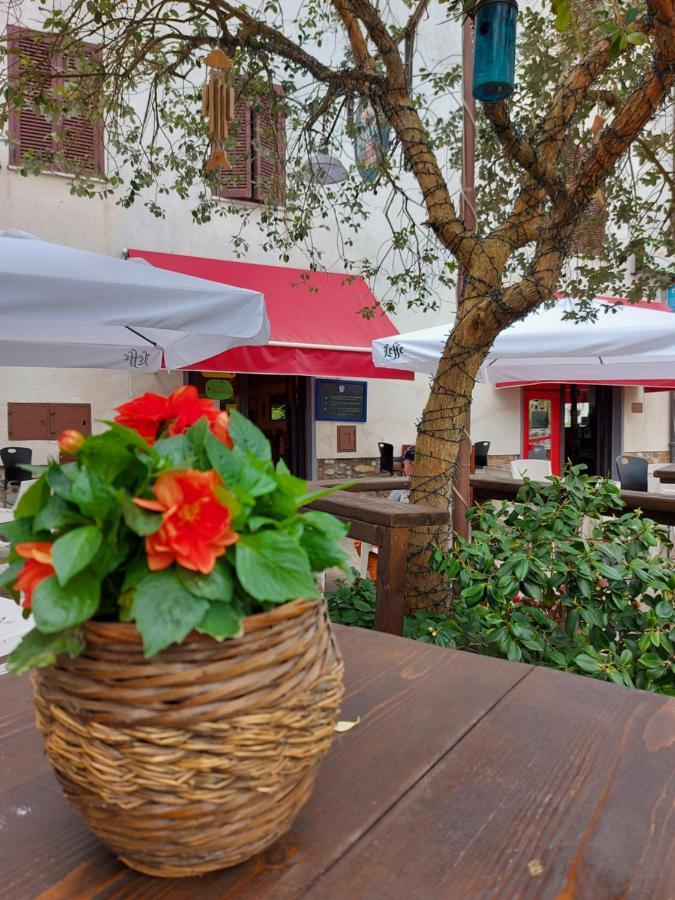 Valle Degli Etruschi B&B Grilli Екстер'єр фото